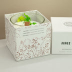 Bougie Baies du Lakeland · Fellberry